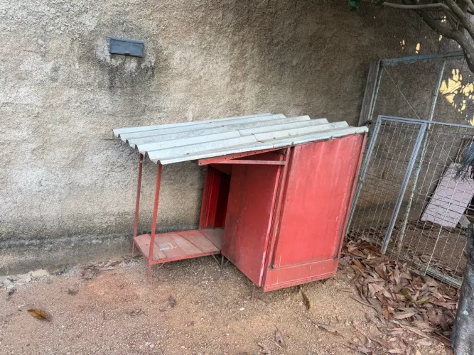 Casa pra cachorro, Cães grande em aço e assoalho de madeira 