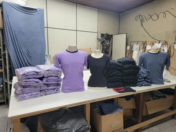 Lote camisetas e Polos