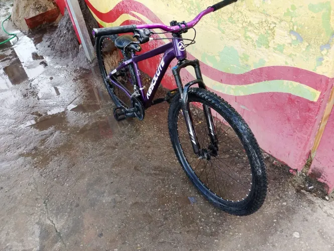 Bicicleta aro 29 absolute Nero 