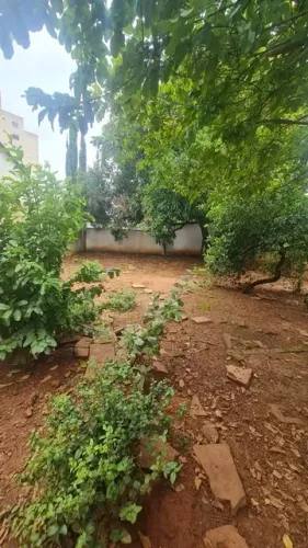 Lote de 444 m² Kitnet Excelente Oportunidade de Investimento