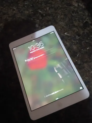 Ipad mini