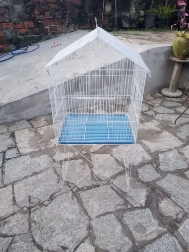 Viveiro para calopsita 