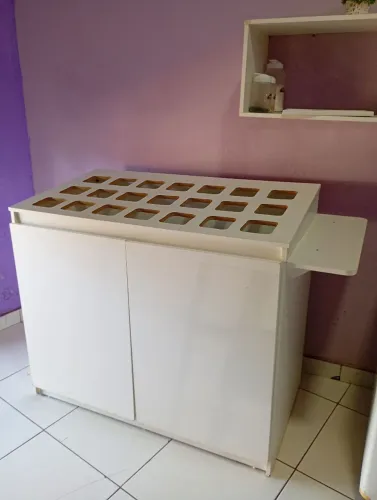 Expositor de açaí e balcão de caixa