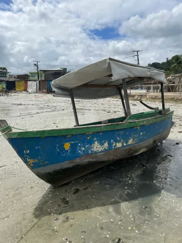Barco a motor (disel)