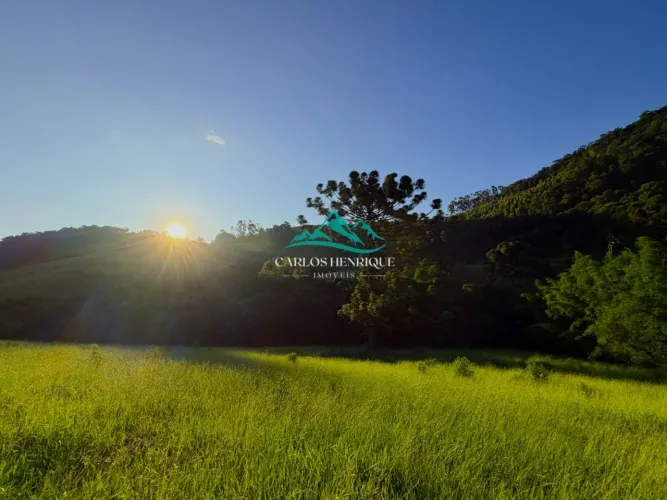 Mirante da Araucária | Terreno/Lote à Venda com 20.000m² por R$ 340.000