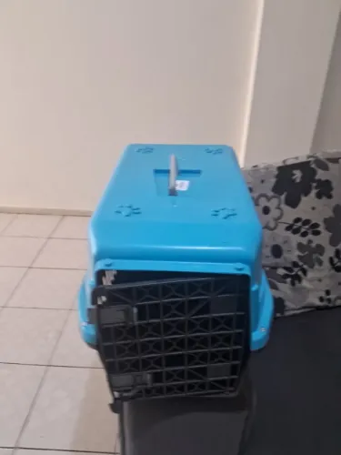 Caixa transportadora para cachoros n 5