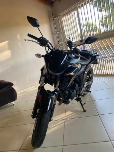FZ25 23/24
