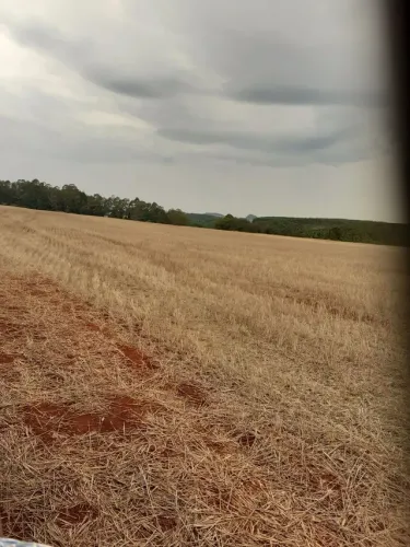 Sitio 20 alqueieo ...