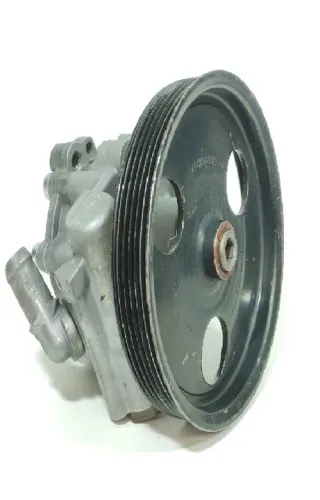 Bomba Direção Hidráulica Duster 2.0 8v/16v 12-15 (491328861R)