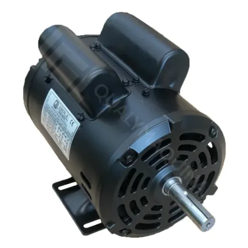 Motor Eberle Monofásico 1,5 cv - 2 Pólos 110/220 Volts 3490 rpm (Alta rotação)