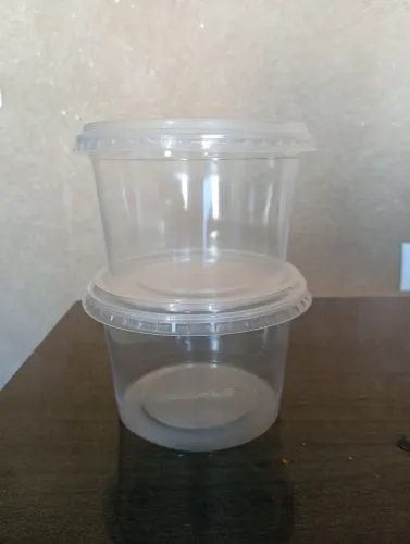 Pote  com tampa para sorvete descartá vel   500ml  7 Caixa com 288 potes