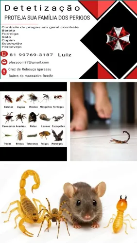 Detetização/