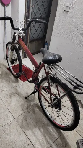 Bicicleta Maria mole