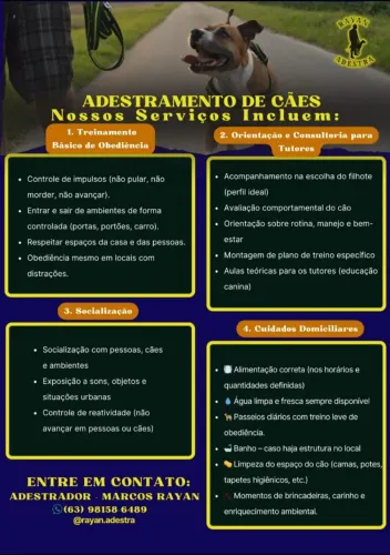Adestramento de cães