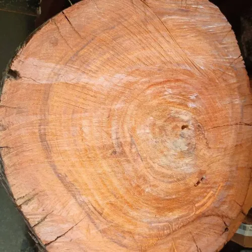 Tábua de madeira rústica para cozinha