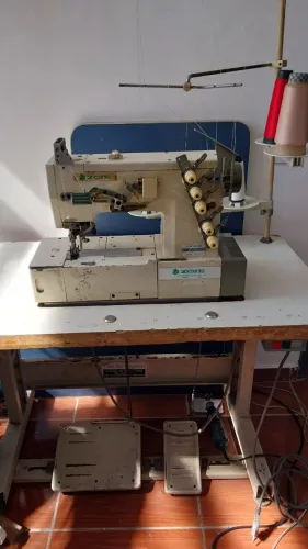 Maquina costura Galoneira industrial