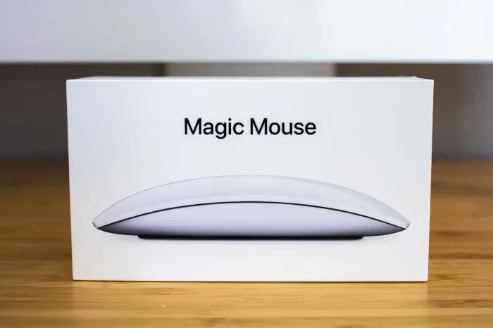 MAGIC MOUSE USB C NOVO / LOJA FÍSICA