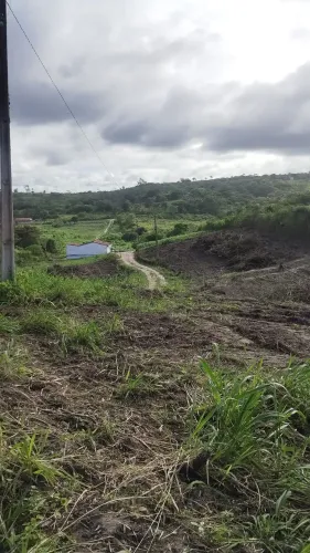 Sítio em Massaranduba por R$119.000,00, 2 hectares