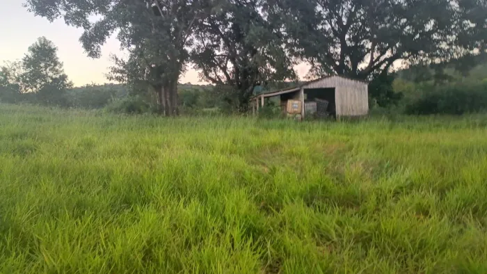 Arrendamento para pecuária