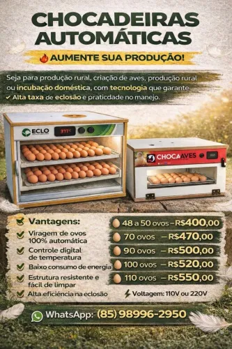 Chocadeira eclo capacidade 50 ovos