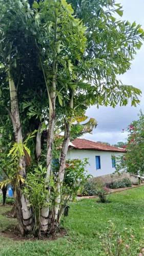 Fazenda Disponível pra Venda no município de Luziania. Goiás 12 km de estrada de asfalto a