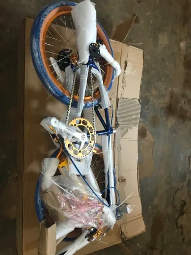 Bicicleta