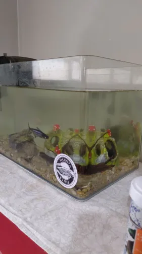 Aquário 40L