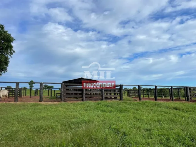Fazenda 299 Alqueires (1.447 Hectares) Campinápolis - MT