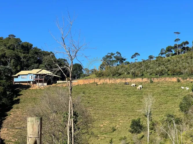 Terreno rural com 180 mil metros, casa de alto padrão, lago, córrego e nascente - Oportuni