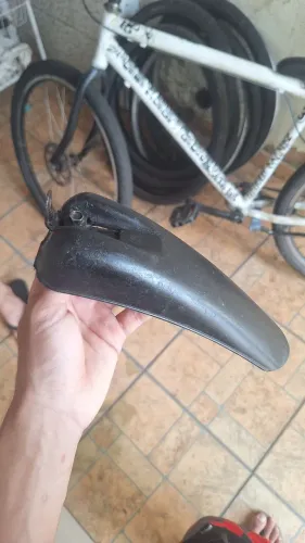 Bico de Pato