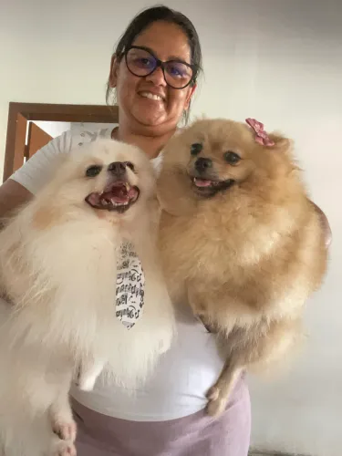 Filhotinho de spitz alemão creme