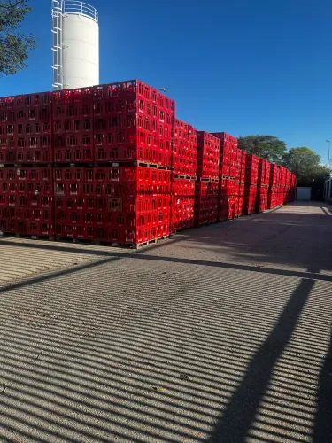 Lote caixa coca cola completa 