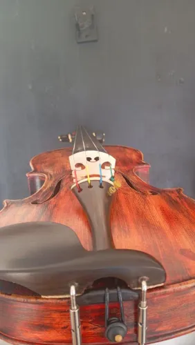 Violino