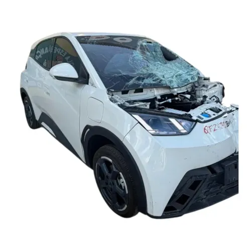 Kit Code Byd Dolphin Mini 2024