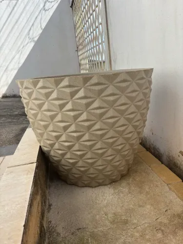 Vaso planta