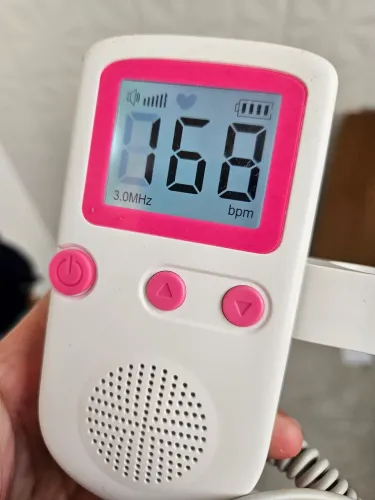 Sonar gestação