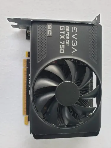 Placa de Video GTX 750 1GB