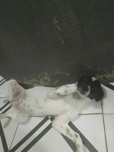 Doação responsável 