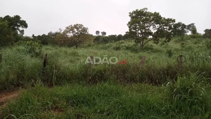 FAZENDA FORMIGA Fazenda à Venda, 11720.60 por R$ 400000.00 AD20805