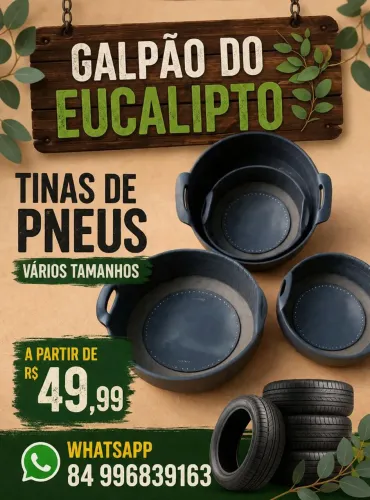 Tinas de Pneu