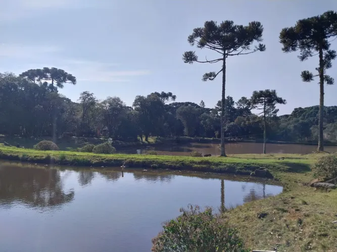 sitio em canela