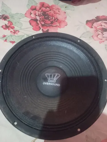 Alto falante 10 polegadas oversound original