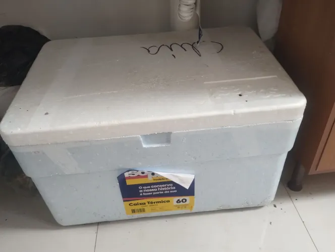 Isopor 