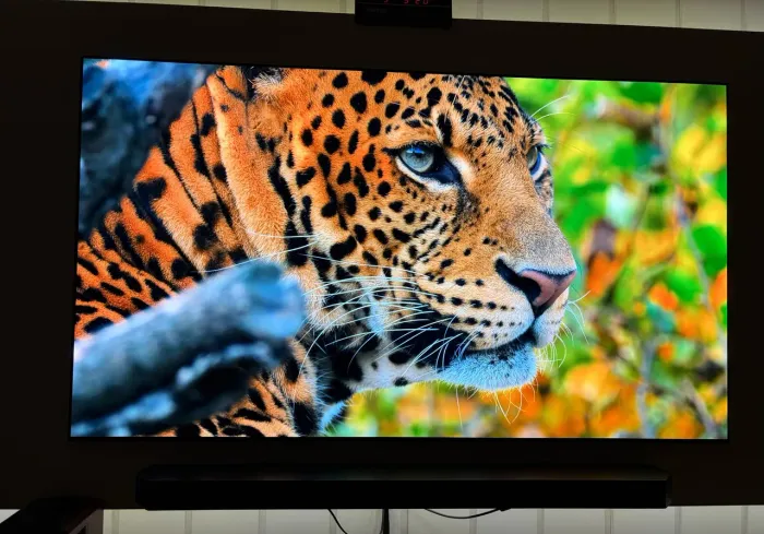 TV LG EVO OLED G3 65