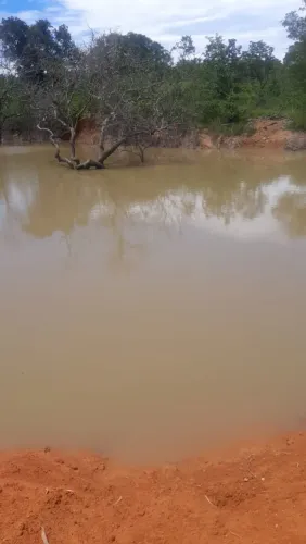 Vendo Sitio