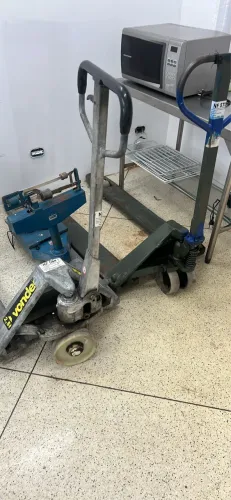 Paleteira tenho 2 torro 700 cada