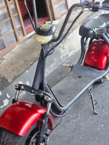 Escuter chineray 2022