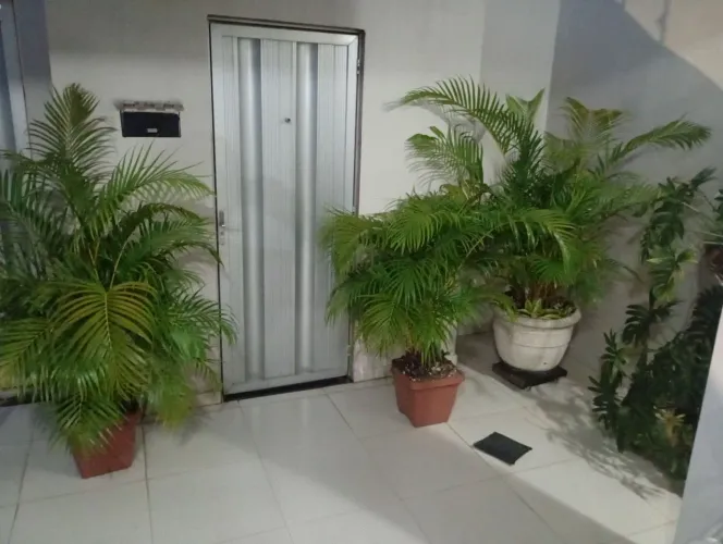 plantas. variadas