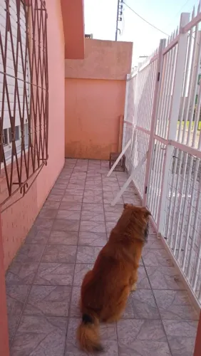 Vendo uma casa no centro de rio grande