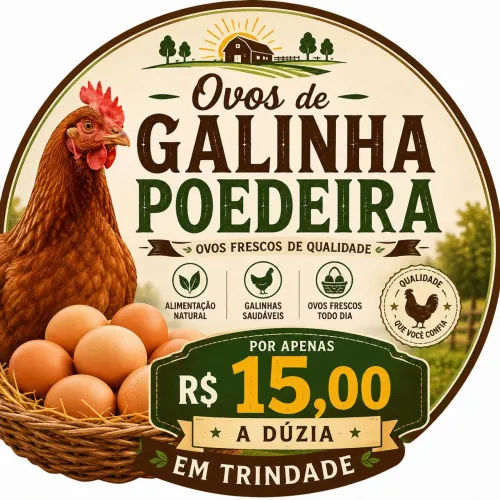 ovo de codorna gigante